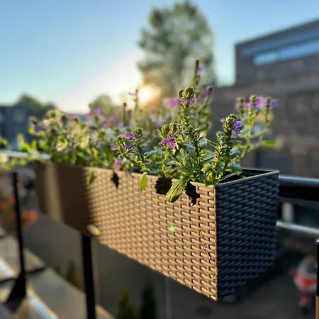 Butas Fontano Apartamentas