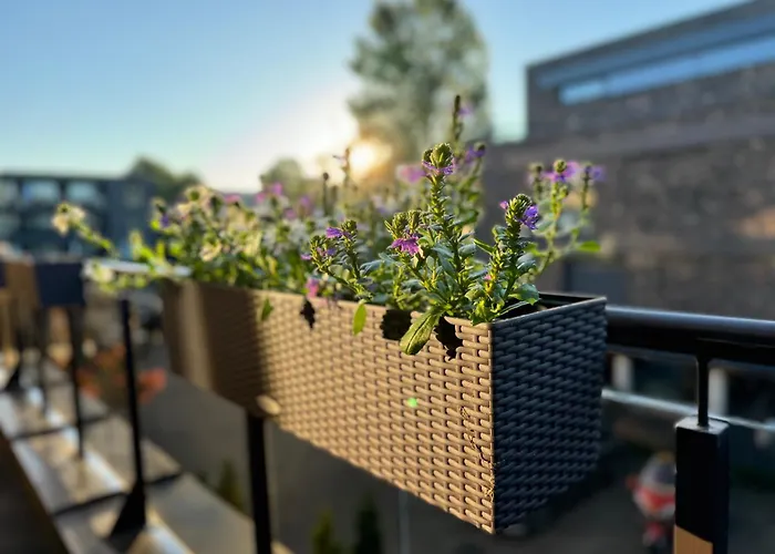 Апартаменты Fontano Apartamentas